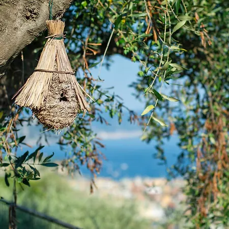 Casa Di Pietra * 圣玛格丽塔－利古雷