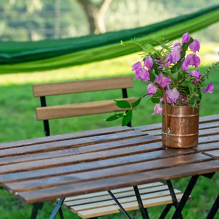 Casa Di Pietra Dom wakacyjny Santa Margherita Ligure